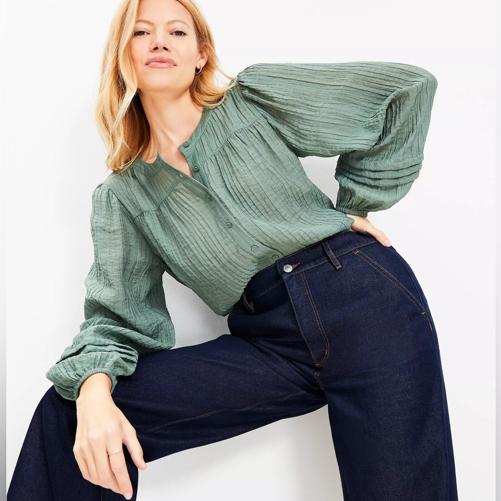 Pleated Sleeve Blouse